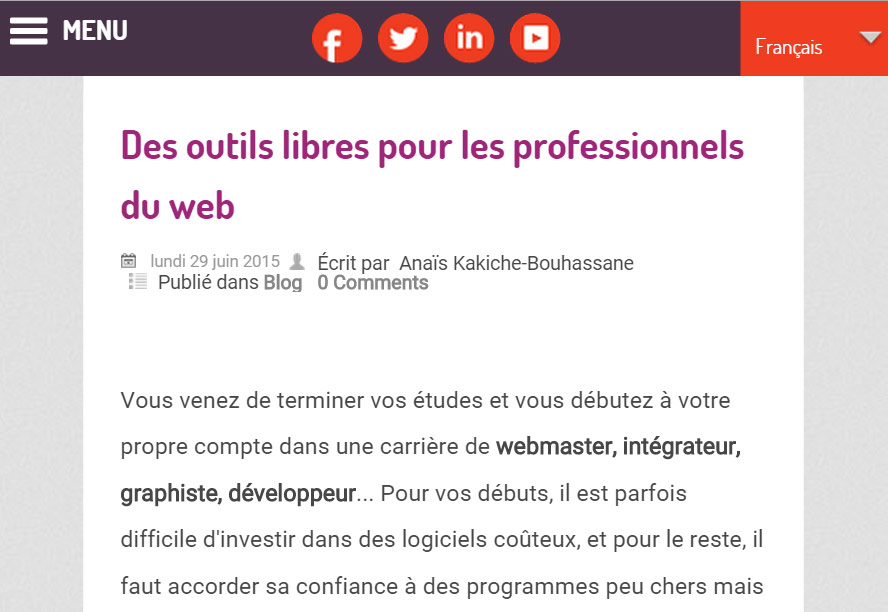 Screenshot du blog caweb
